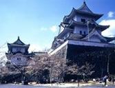 圣缘天堂-上野：　上野公园的文化氛围亦甚深厚，珍藏有84件日本国宝的东京国立博物馆，其四馆之一的表庆馆本身就是一处珍贵建筑；藏有罗丹、莫奈、毕加索、鲁本斯等大家名作的国立西洋美术馆、展示日本传统浮世绘和油画等杰作的东京都美术馆、以及国立科学博物馆、东京文化会馆、上野之森美术馆等，使上野公园有“文化森林”之誉。 